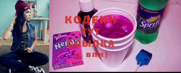 эйфоретик Ельня