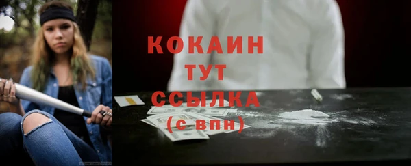 эйфоретик Ельня