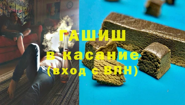 эйфоретик Ельня