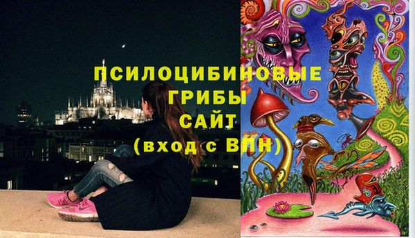 эйфоретик Ельня