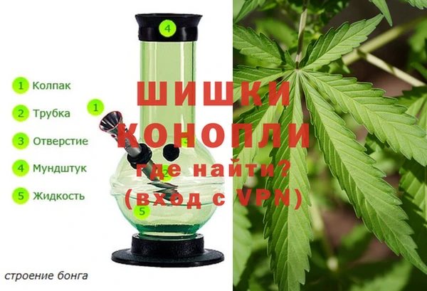 эйфоретик Ельня